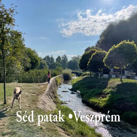 Ruttner Haz Hostel *