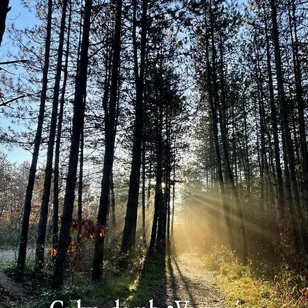 Ruttner Ház Albergue