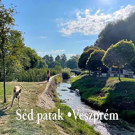 Ruttner Haz Veszprém